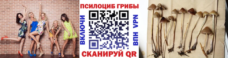 Псилоцибиновые грибы ЛСД  Яхрома 