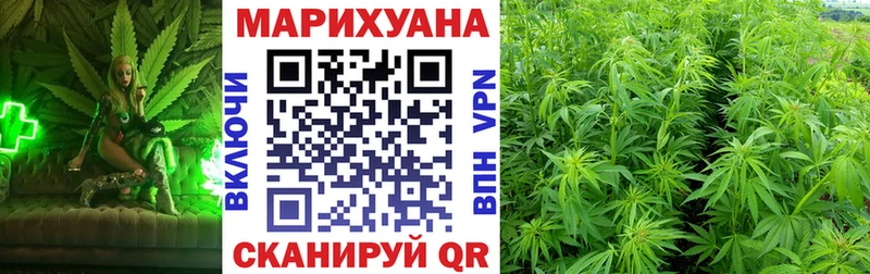 Шишки марихуана планчик  наркотики  Яхрома 
